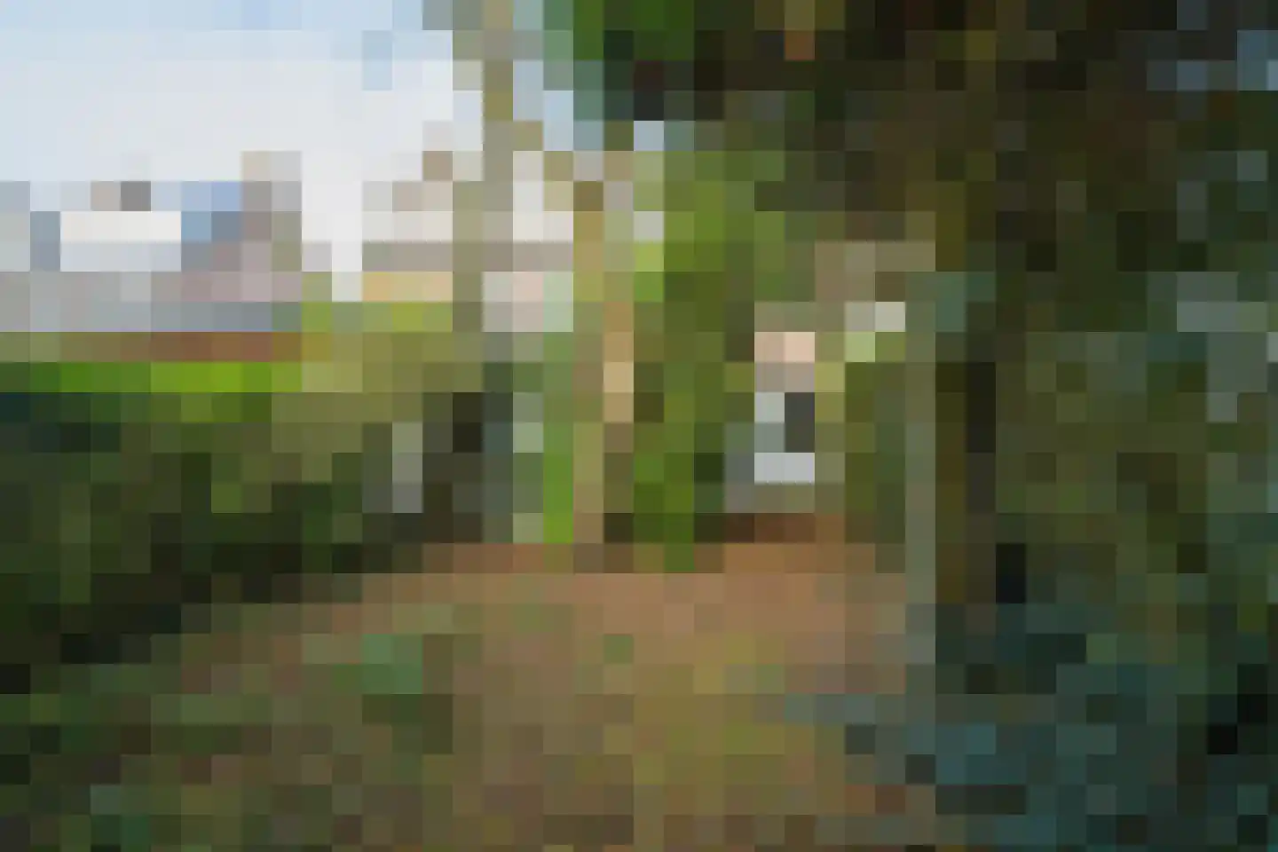 Piet Avontuurstraat 86 Breda thumbnail 37