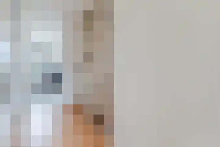 Piet Baarslaan 20 Den Haag thumbnail 15
