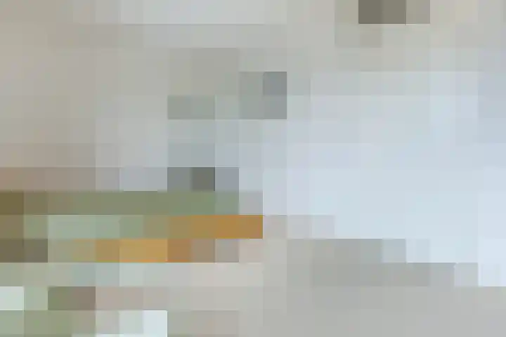 Piet Baarslaan 20 Den Haag thumbnail 17