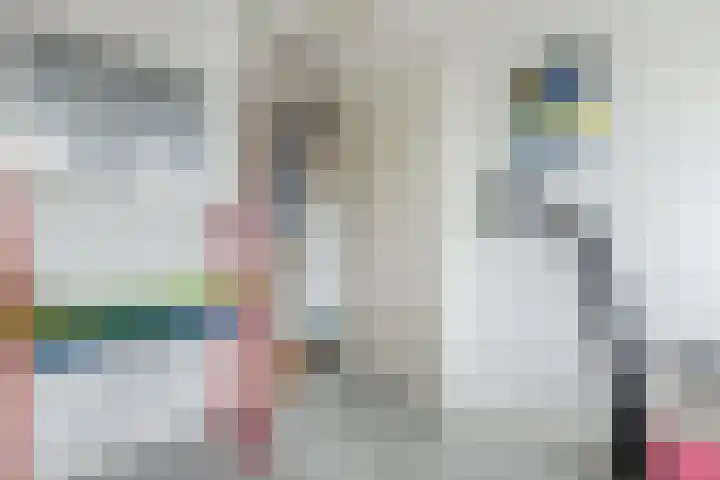 Piet Baarslaan 20 Den Haag thumbnail 21