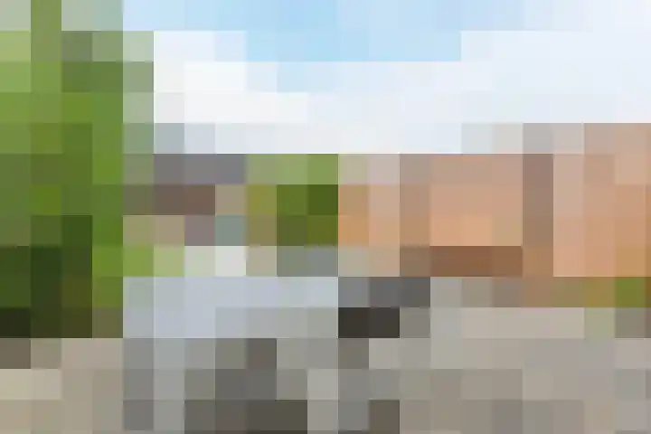 Piet Baarslaan 20 Den Haag thumbnail 28