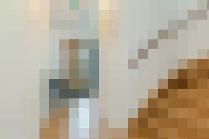 Piet Baarslaan 20 Den Haag thumbnail 6