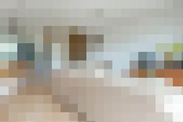 Piet Baarslaan 20 Den Haag thumbnail 7