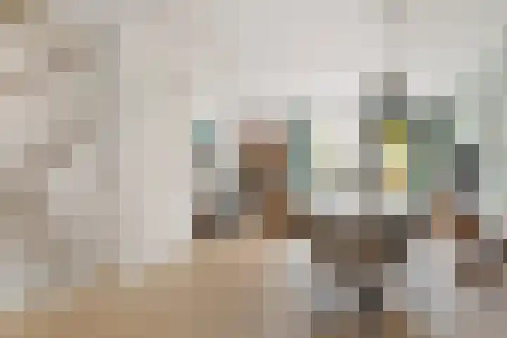 Piet Baarslaan 21 Den Haag thumbnail 10