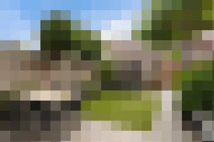 Piet Baarslaan 21 Den Haag thumbnail 13