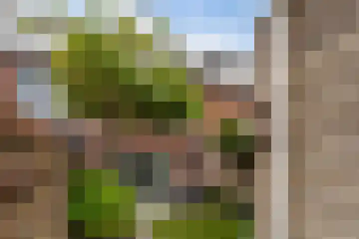 Piet Baarslaan 21 Den Haag thumbnail 15