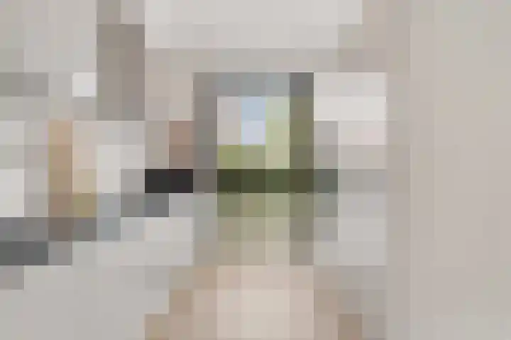 Piet Baarslaan 21 Den Haag thumbnail 22