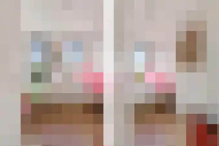 Piet Baarslaan 21 Den Haag thumbnail 32