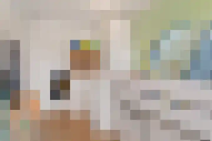 Piet Baarslaan 21 Den Haag thumbnail 34