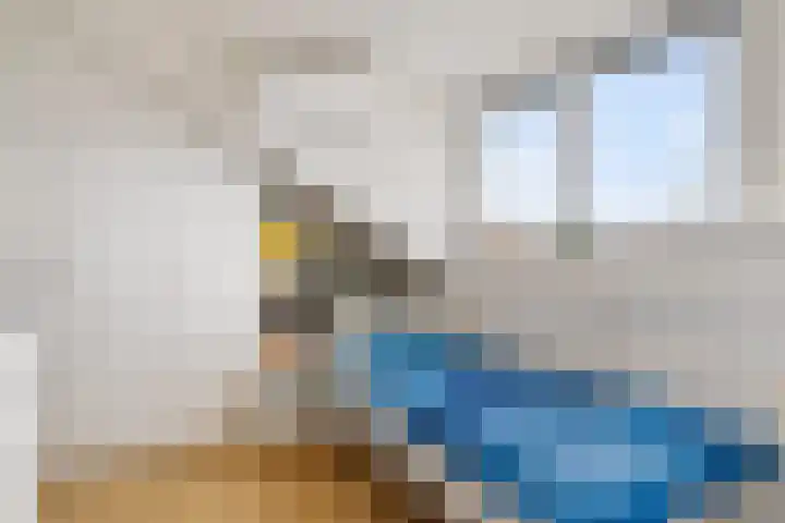 Piet Baarslaan 21 Den Haag thumbnail 36