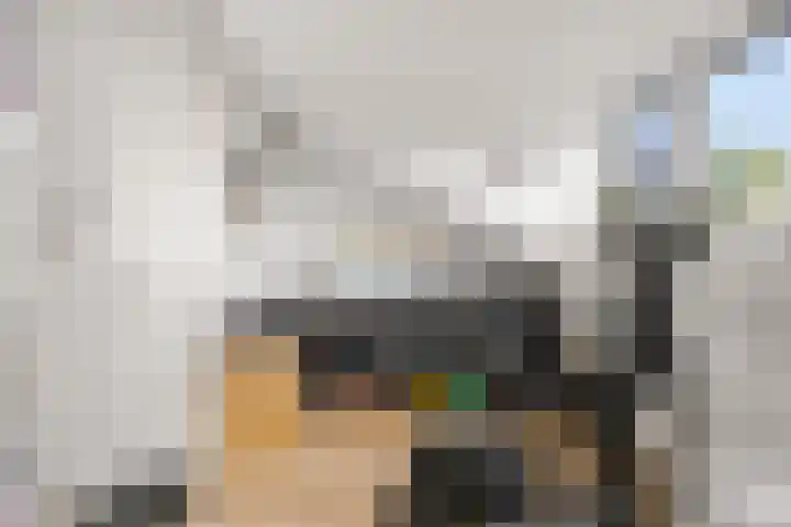 Piet Baarslaan 21 Den Haag thumbnail 39