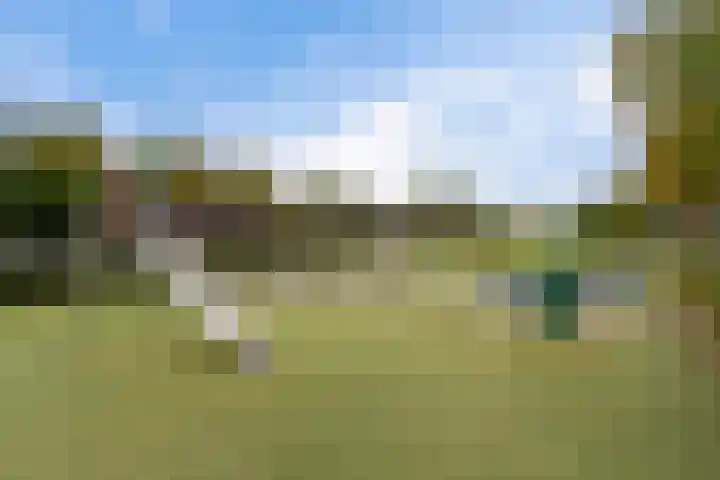 Piet Baarslaan 21 Den Haag thumbnail 41