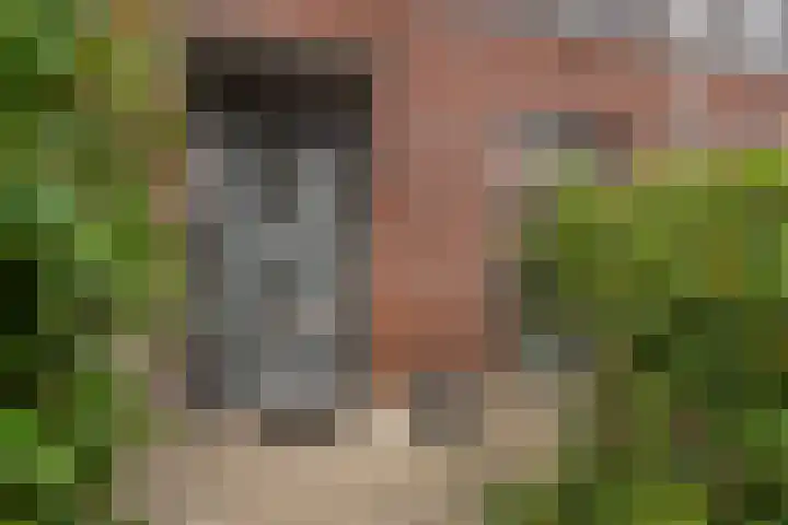 Piet Baarslaan 21 Den Haag thumbnail 6