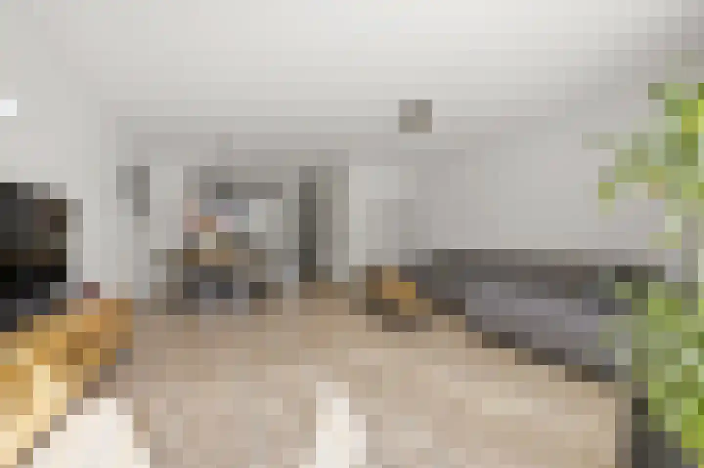 Piet Baarslaan 23 Den Haag thumbnail 10