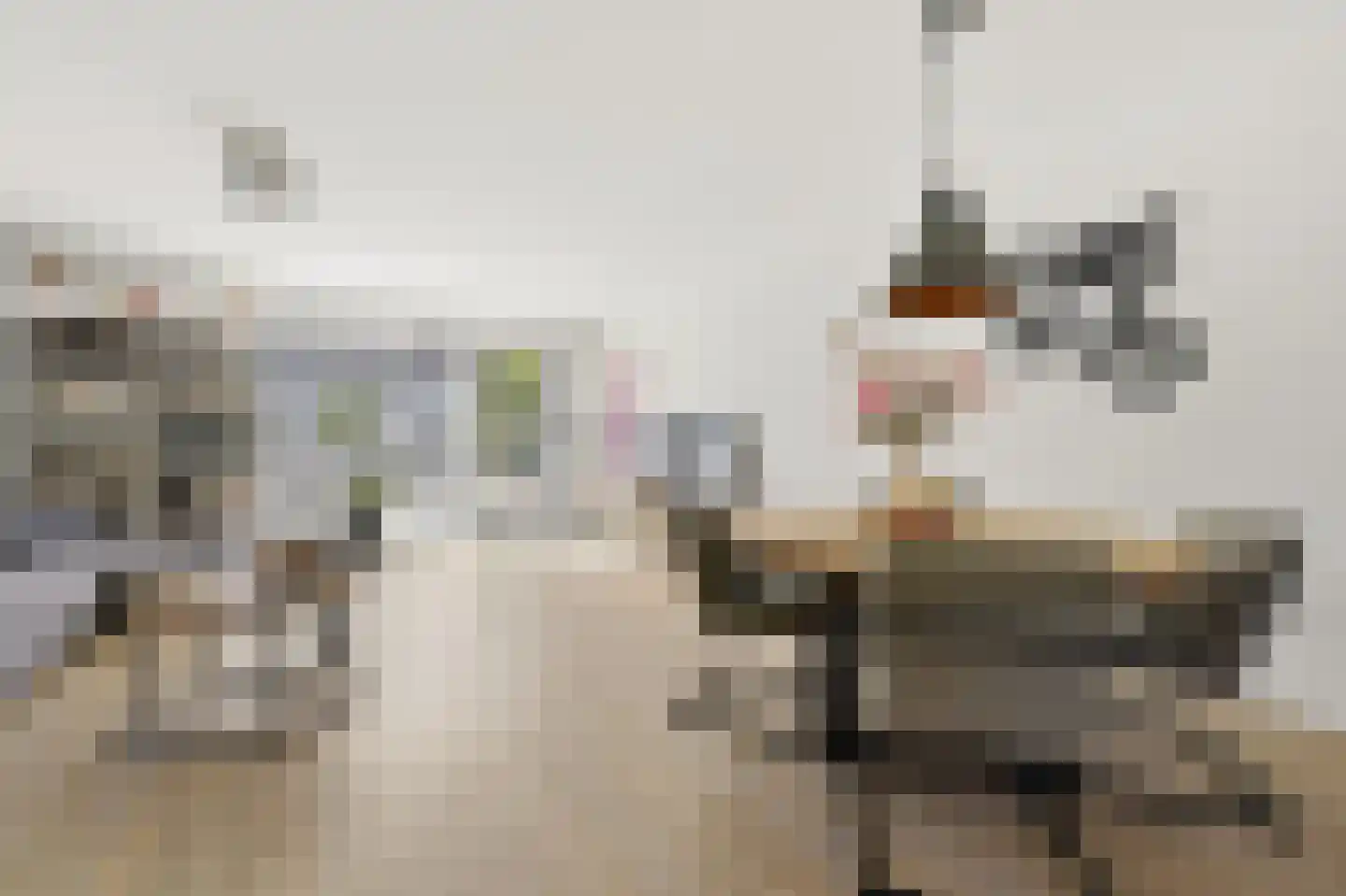 Piet Baarslaan 23 Den Haag thumbnail 17
