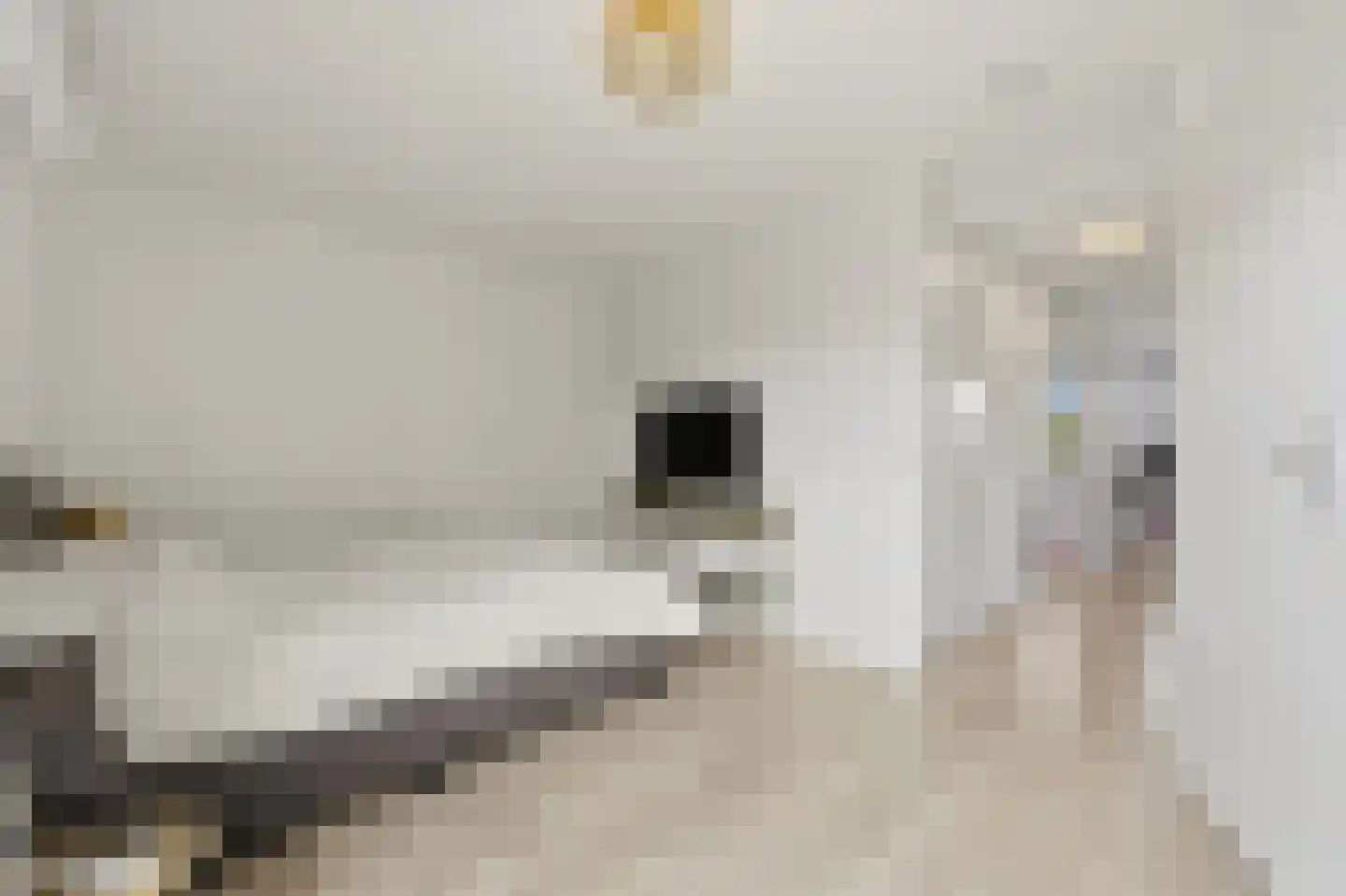 Piet Baarslaan 23 Den Haag thumbnail 25