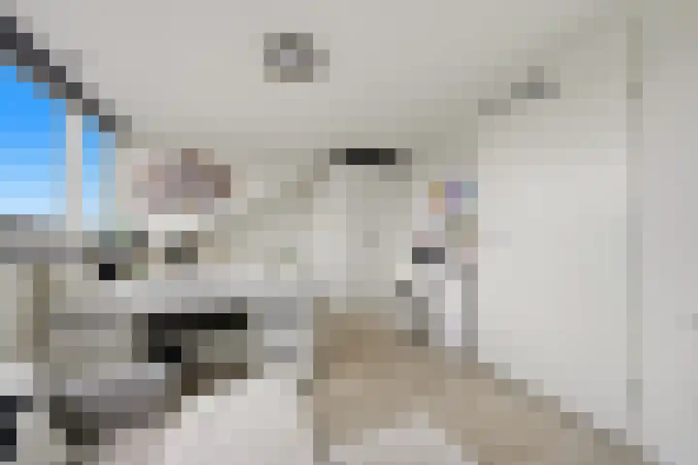 Piet Baarslaan 23 Den Haag thumbnail 39