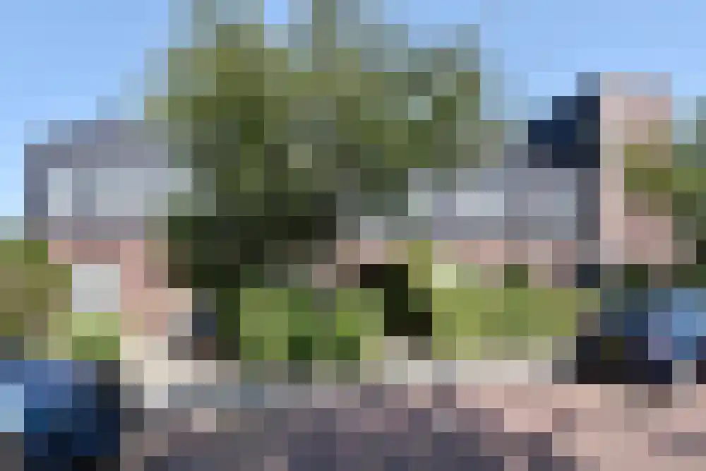 Piet Baarslaan 40 Den Haag thumbnail 8