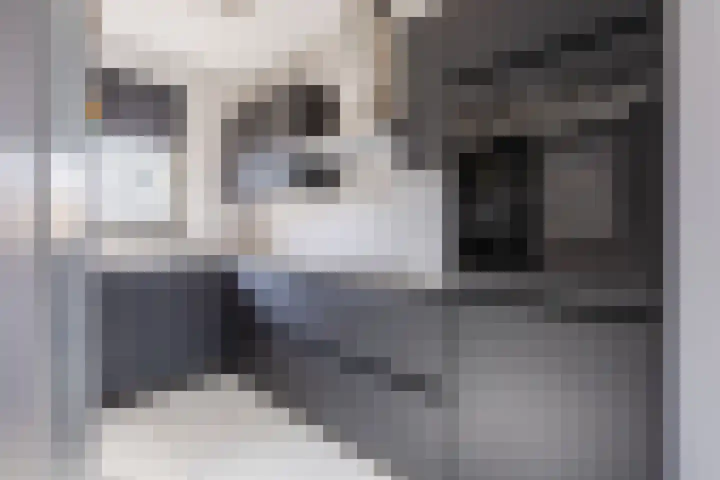 Piet Bartenstraat 28 Erp thumbnail 12