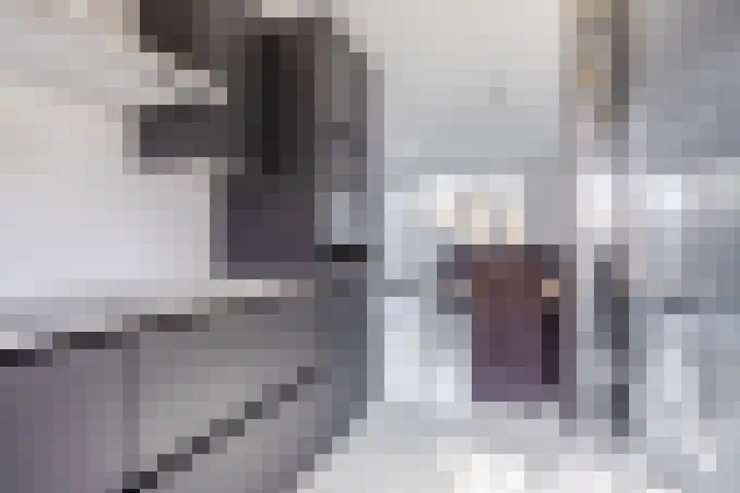 Piet Bartenstraat 28 Erp thumbnail 15