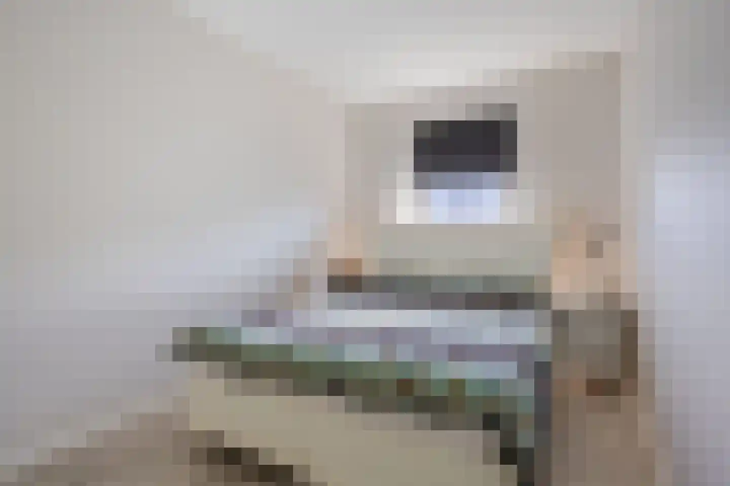 Piet Bartenstraat 28 Erp thumbnail 18