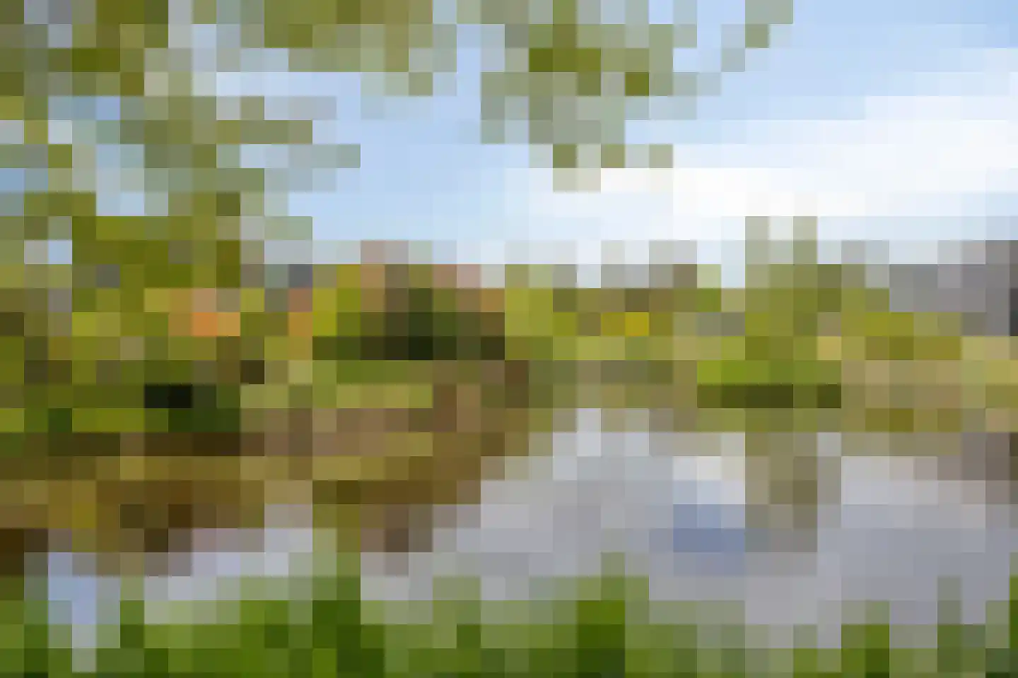 Piet Blankendaalweg 11 Bergen (NH) thumbnail 28