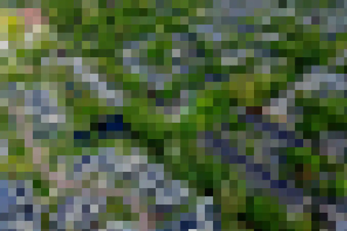 Piet Blankendaalweg 11 Bergen (NH) thumbnail 5