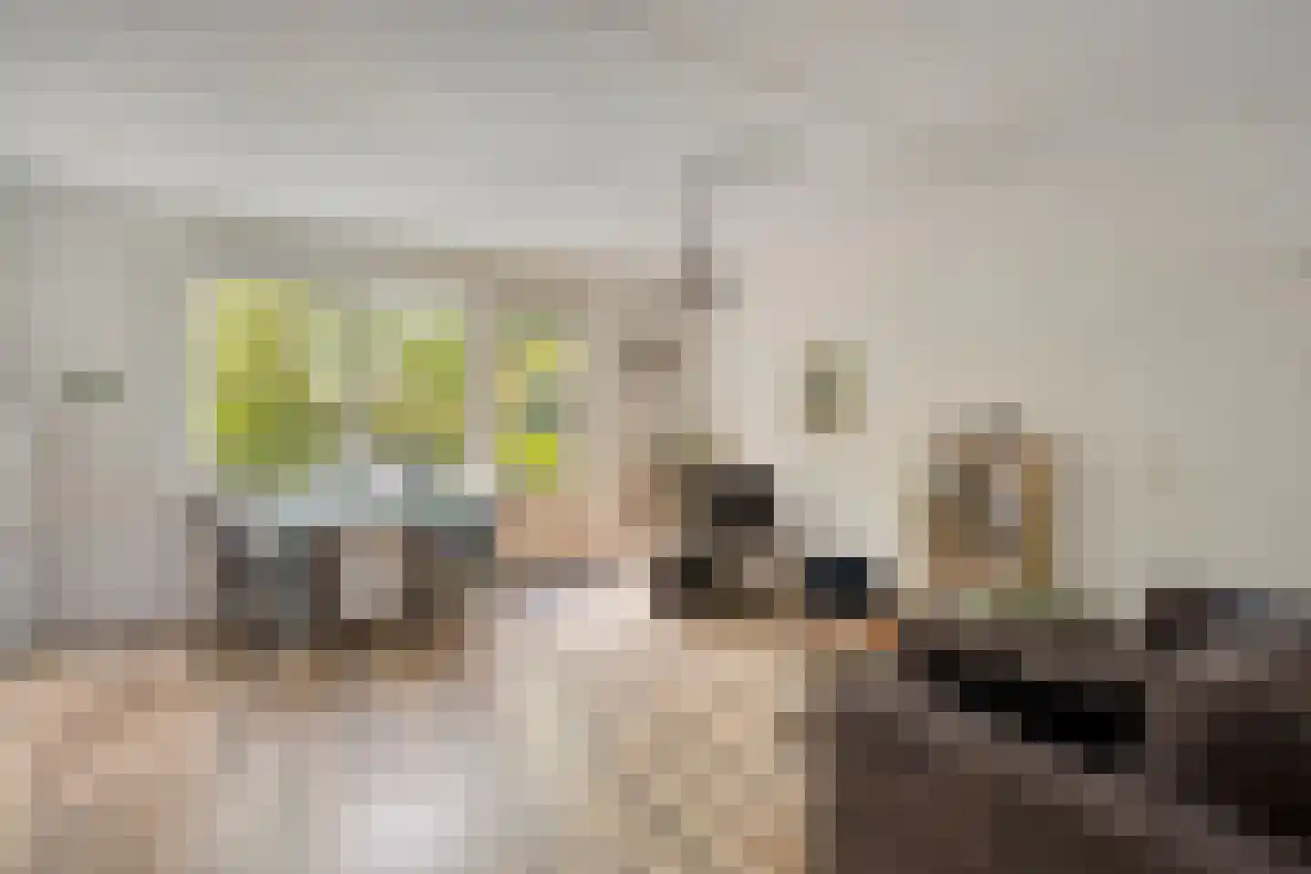 Piet Blankendaalweg 11 Bergen (NH) thumbnail 8