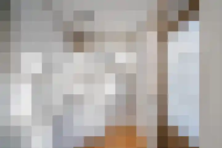Piet Blokkerstraat 10 Schagen thumbnail 13