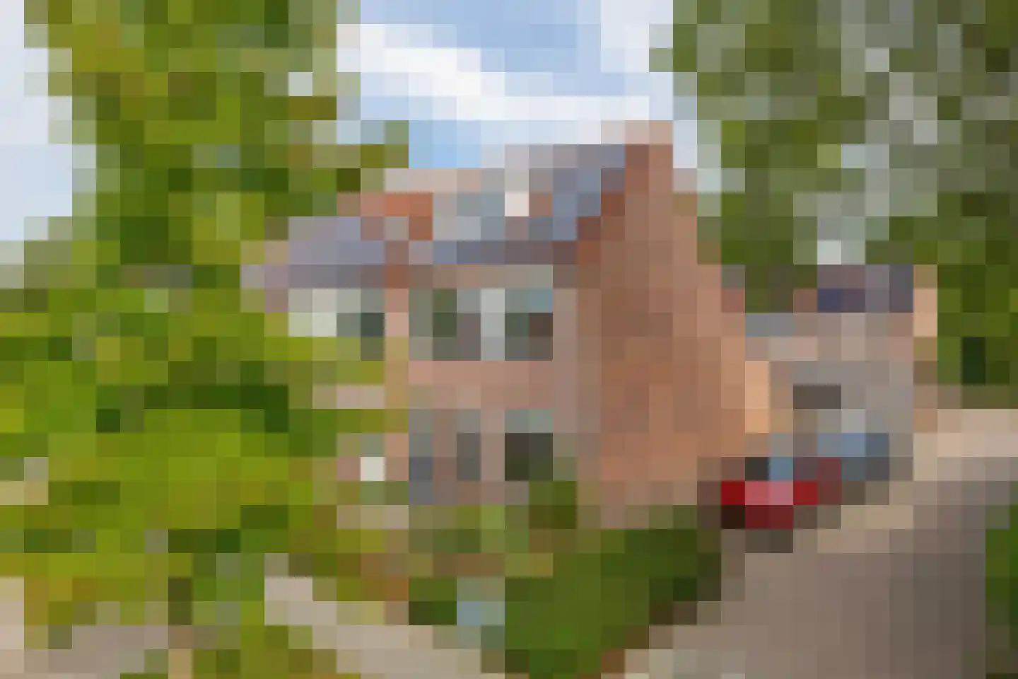 Piet Blokkerstraat 51 Schagen thumbnail 33