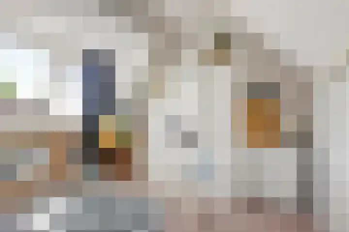 Piet Blokkerstraat 74 Schagen thumbnail 21