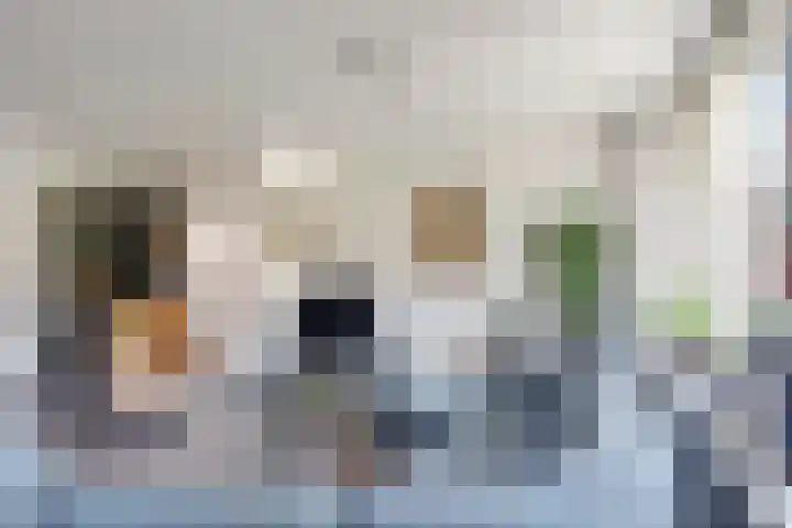 Piet Blokkerstraat 74 Schagen thumbnail 5