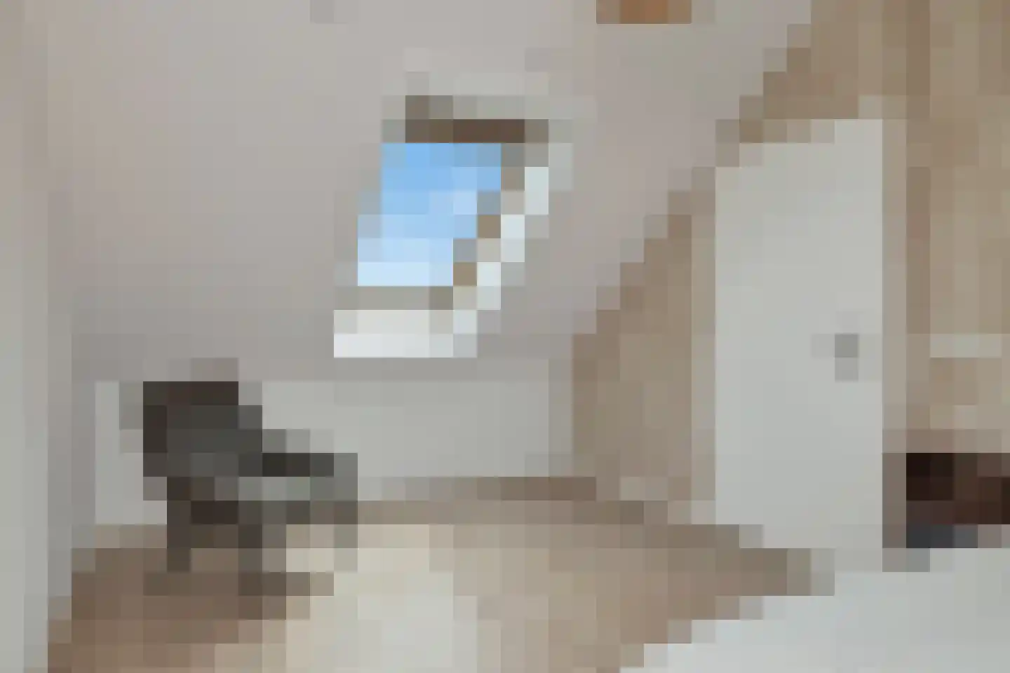 Piet Blokkerstraat 8 Schagen thumbnail 29