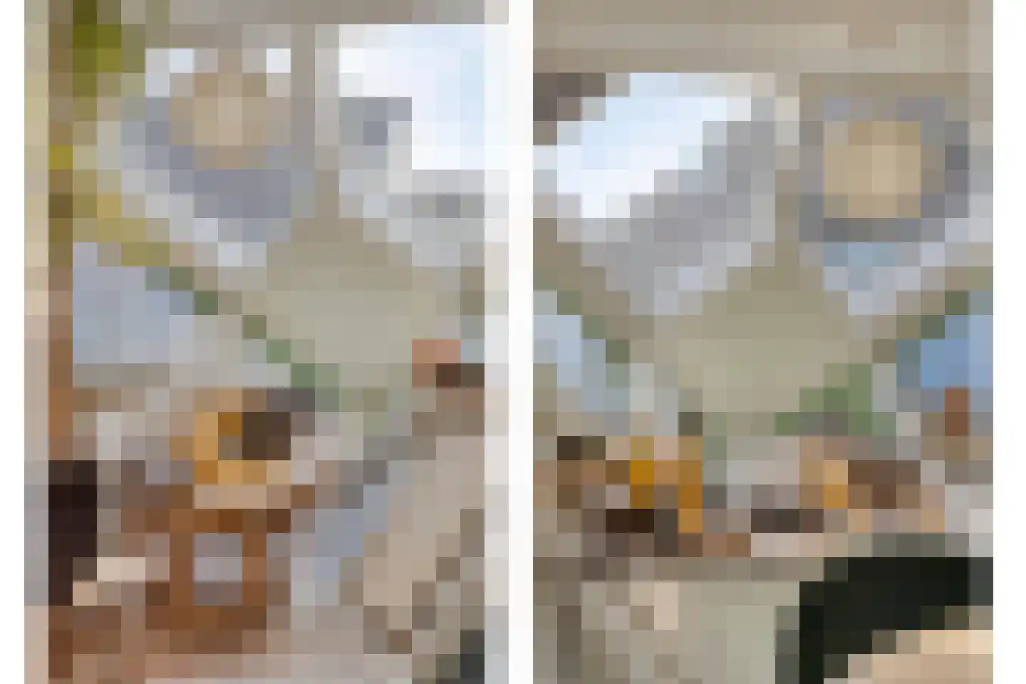 Piet Blomplein 11 Helmond thumbnail 4
