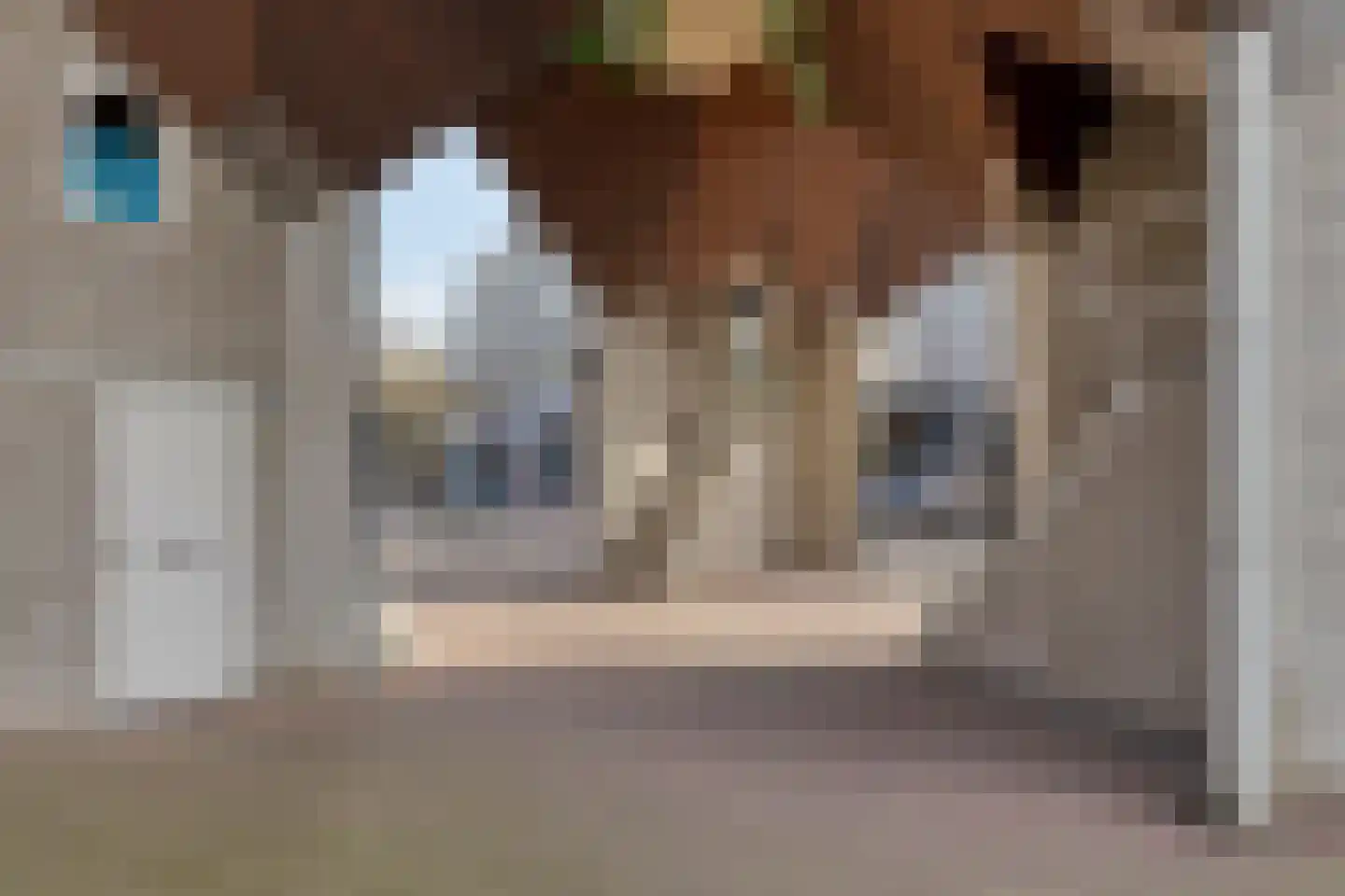 Piet Blomplein 11 Helmond thumbnail 6