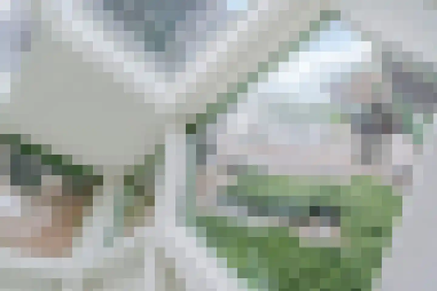 Piet Blomplein 7 Helmond thumbnail 11