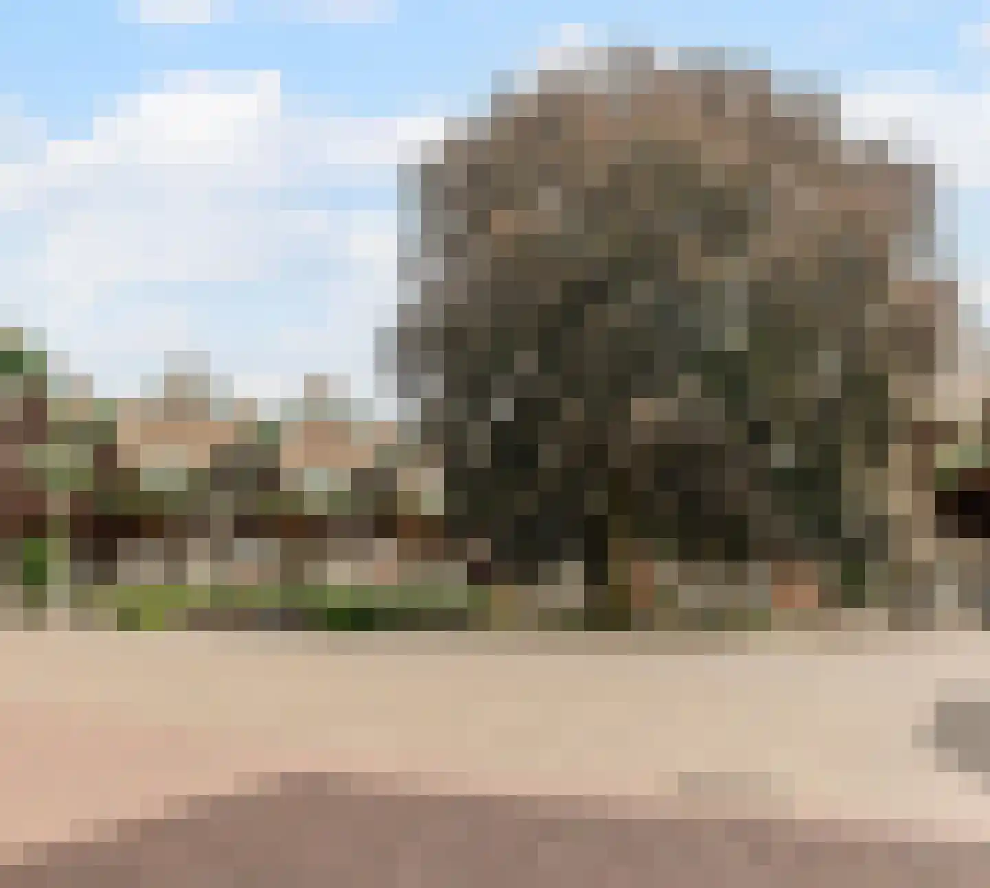 Piet Blomplein 7 Helmond thumbnail 31