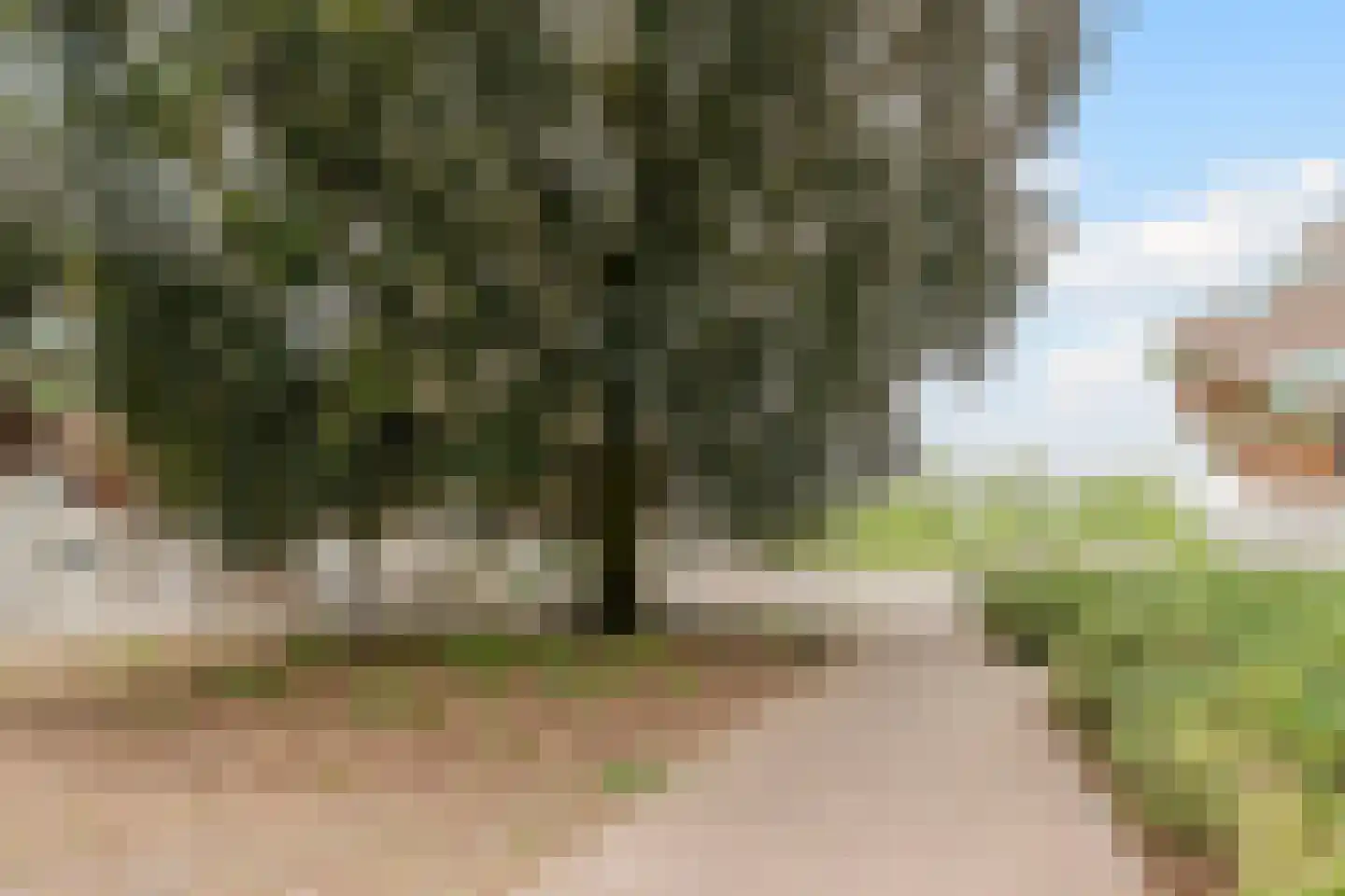 Piet Blomplein 7 Helmond thumbnail 34