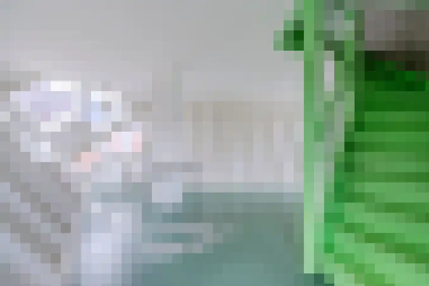 Piet Blomplein 7 Helmond thumbnail 6