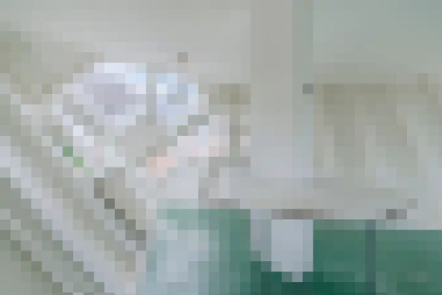 Piet Blomplein 7 Helmond thumbnail 7
