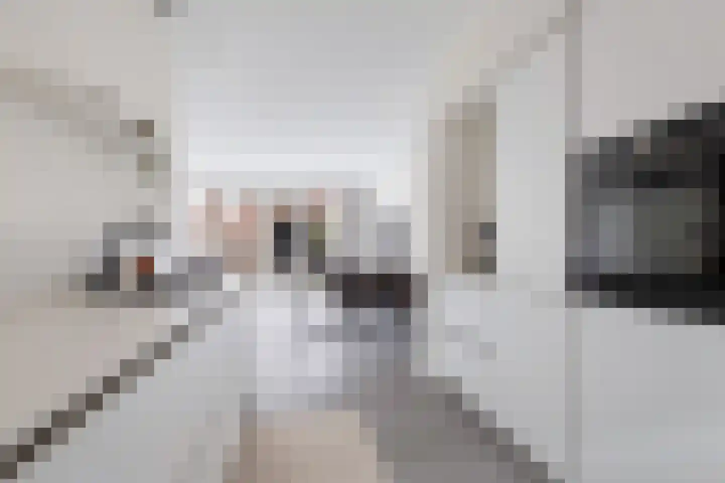 Piet Cottaarstraat 45 Rotterdam thumbnail 16