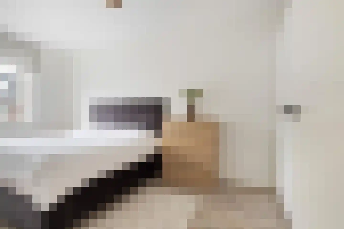 Piet Cottaarstraat 45 Rotterdam thumbnail 18