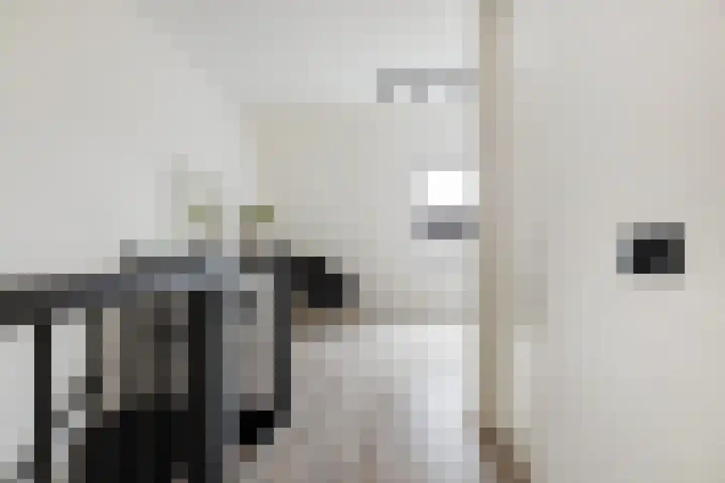 Piet Cottaarstraat 45 Rotterdam thumbnail 32