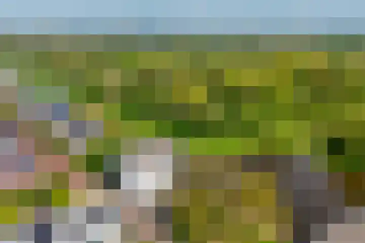 Piet de Winterlaan 7 Amstelveen thumbnail 37