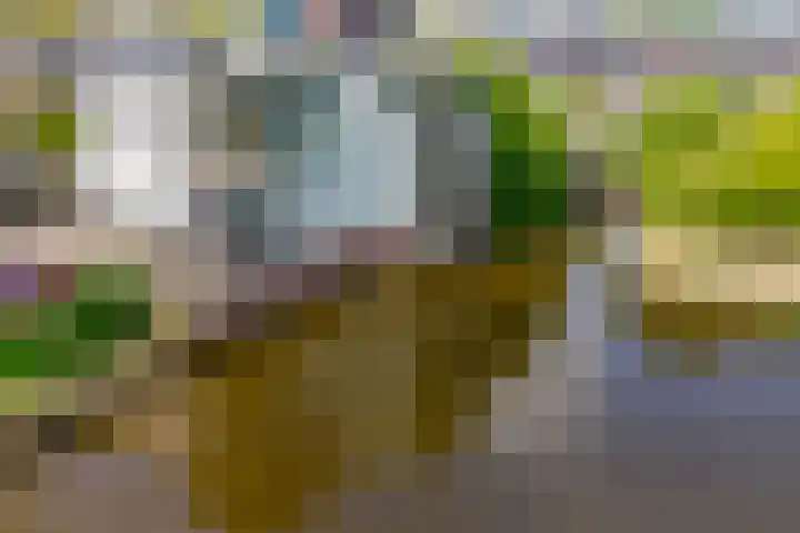 Piet de Winterlaan 7 Amstelveen thumbnail 39