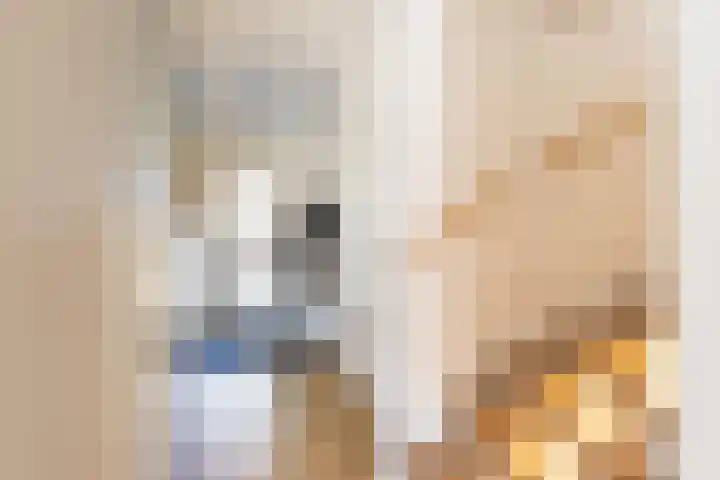 Piet Fransenlaan 89 Groningen thumbnail 19