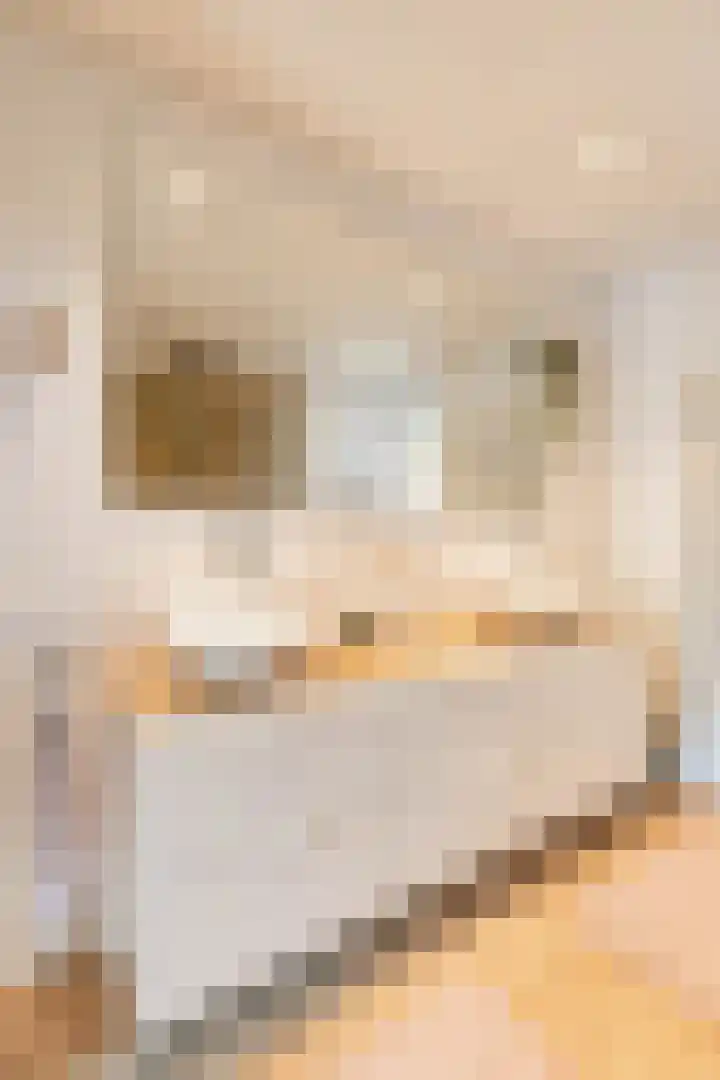 Piet Fransenlaan 89 Groningen thumbnail 28