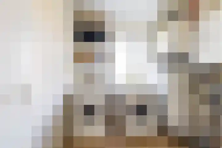 Piet Fransenlaan 89 Groningen thumbnail 32
