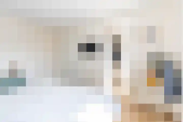 Piet Fransenlaan 89 Groningen thumbnail 38