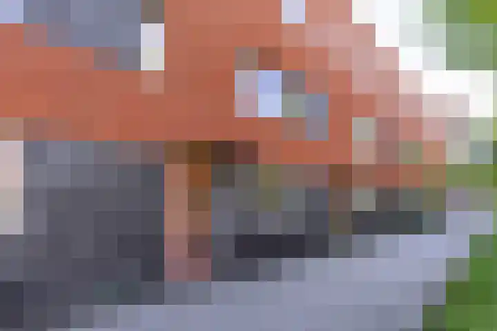 Piet Fransenlaan 89 Groningen thumbnail 4